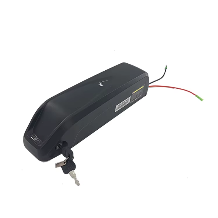 Hailong Ebike Battery case 48V Lithium Battery E Bike Lithium Battery