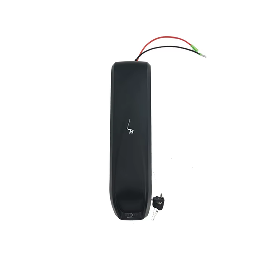 Hailong Ebike Battery case 48V Lithium Battery E Bike Lithium Battery