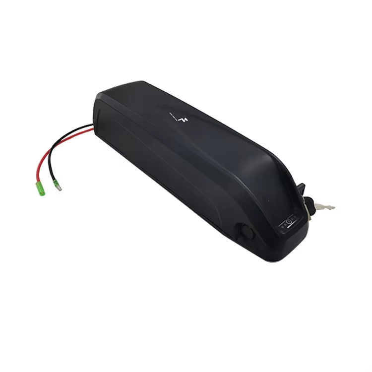 Hailong Ebike Battery case 48V Lithium Battery E Bike Lithium Battery