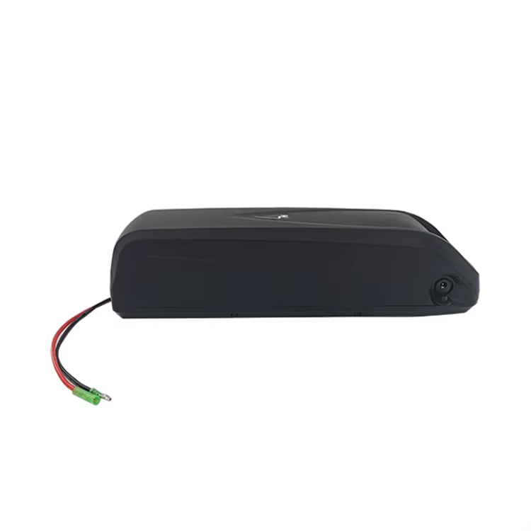 Hailong Ebike Battery case 48V Lithium Battery E Bike Lithium Battery